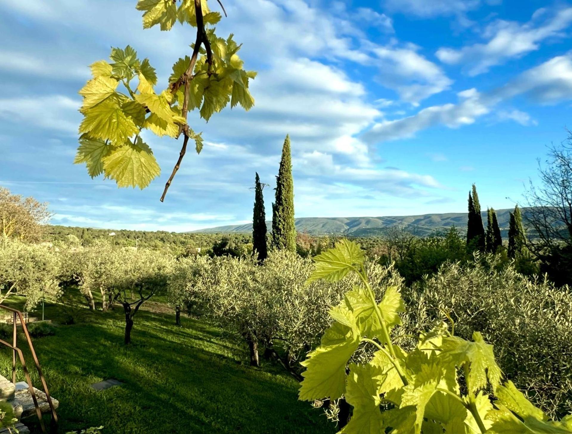 Provence Km28 Panzió Gordes Kültér fotó