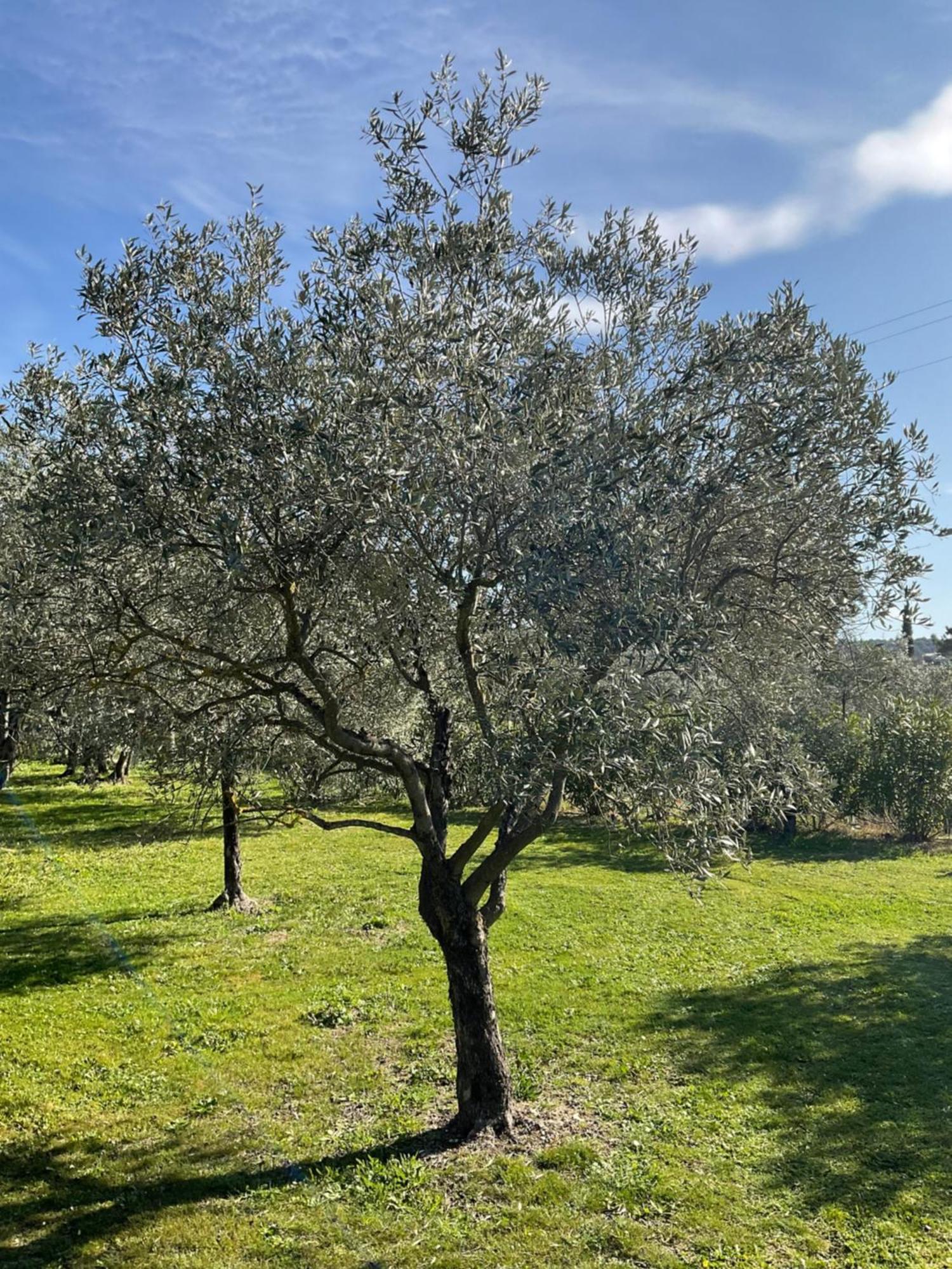Provence Km28 Panzió Gordes Kültér fotó