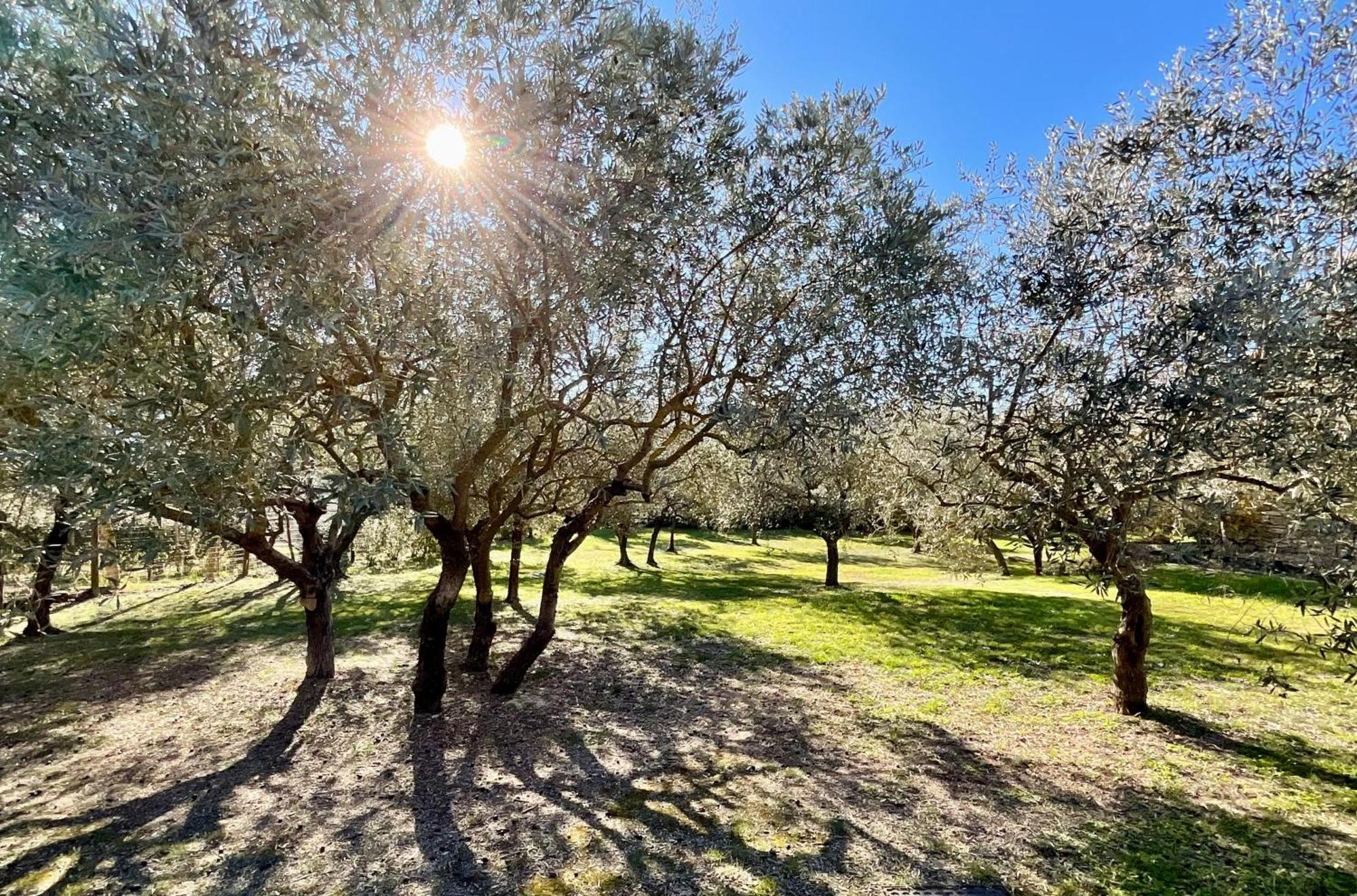 Provence Km28 Panzió Gordes Kültér fotó