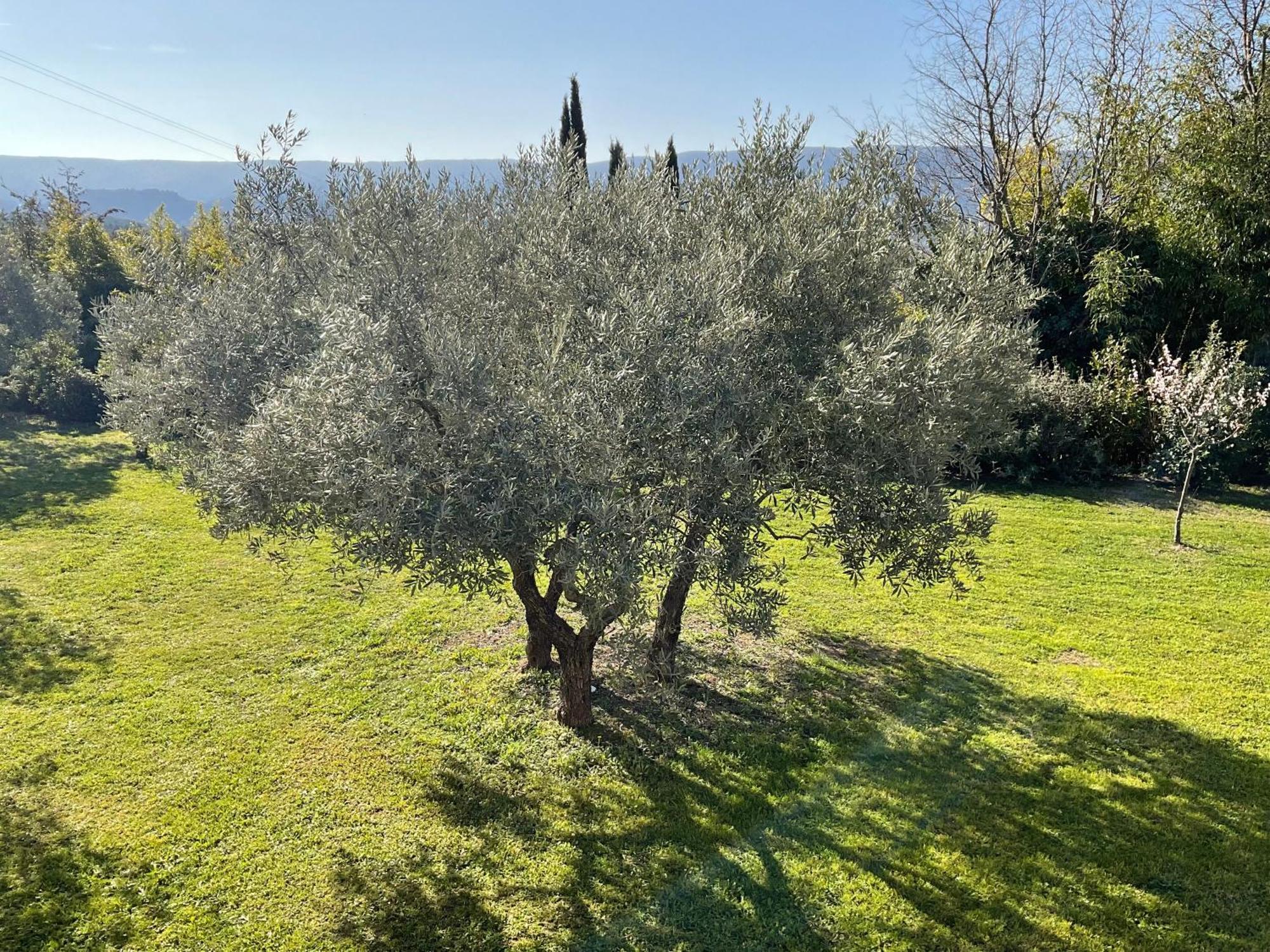 Provence Km28 Panzió Gordes Kültér fotó