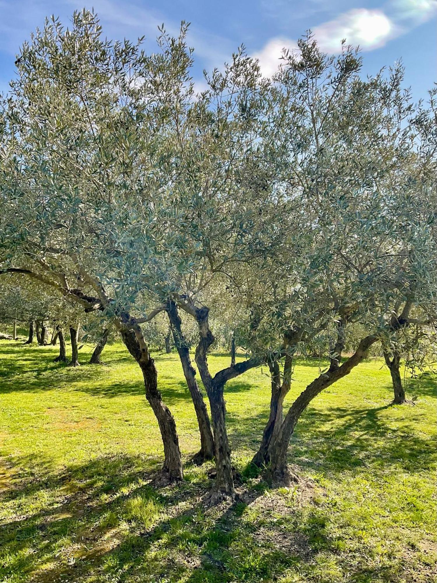 Provence Km28 Panzió Gordes Kültér fotó